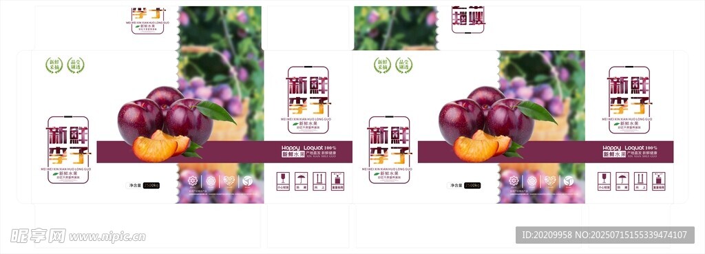 李子外箱