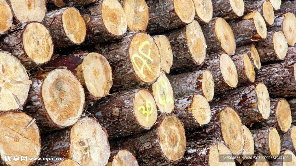 整齊堆放的木材