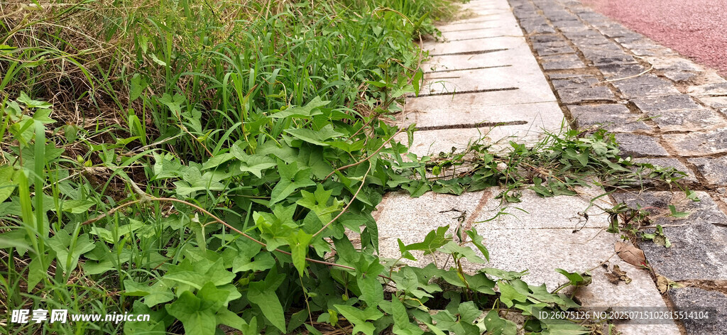 路邊牽?；ㄉL(zhǎng)景象