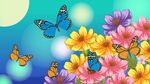 蝴蝶與花朵插圖