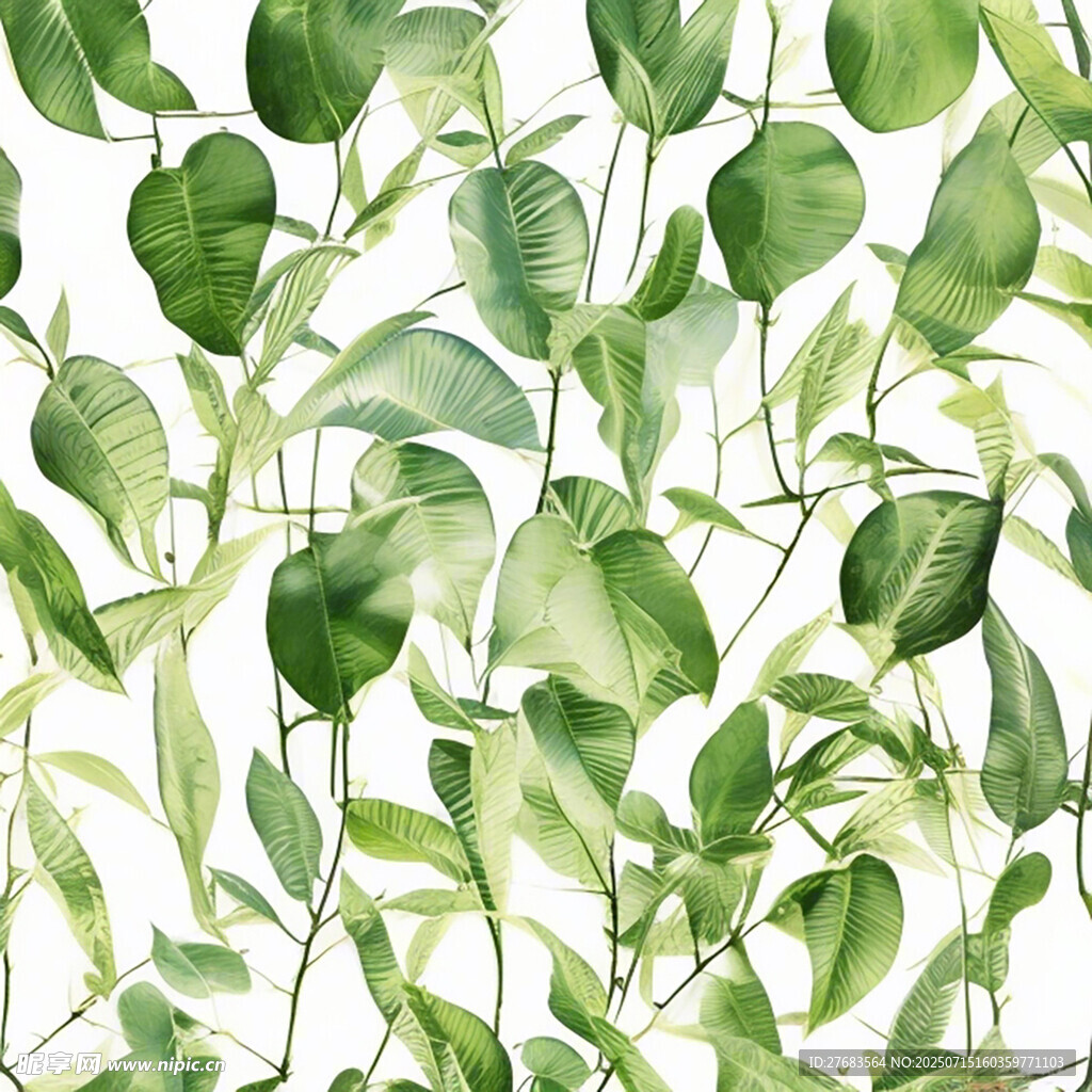清新水彩植物背景