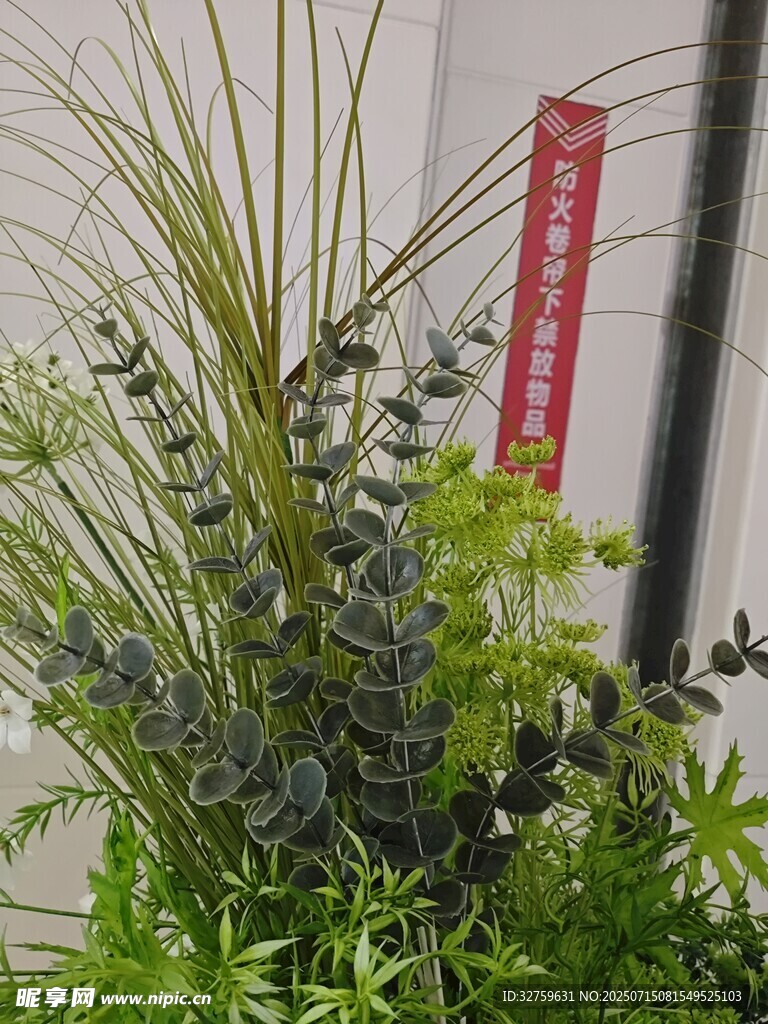 清新綠植組合