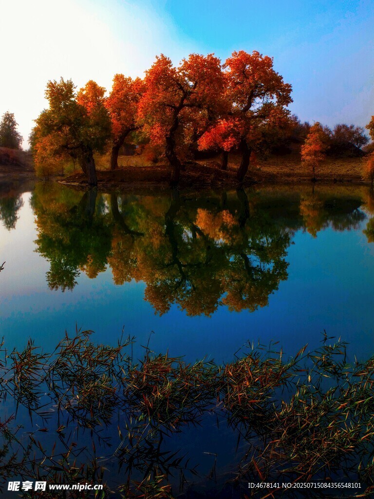 秋日湖畔美景