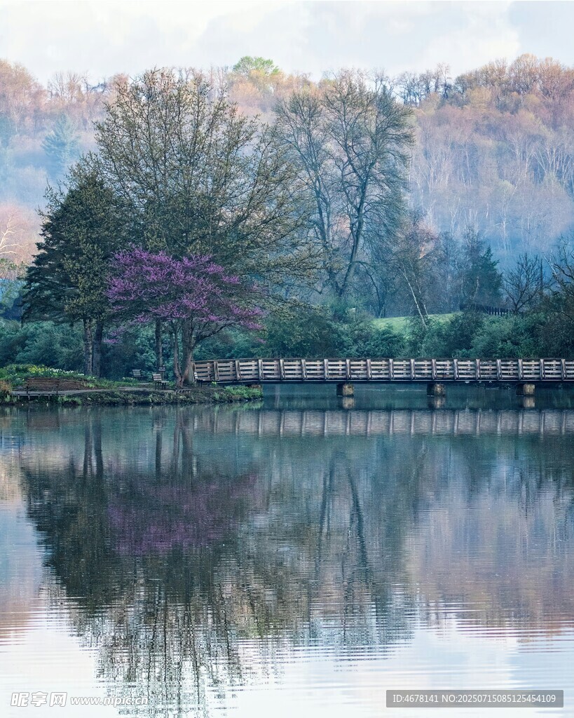 湖畔春色倒影如畫