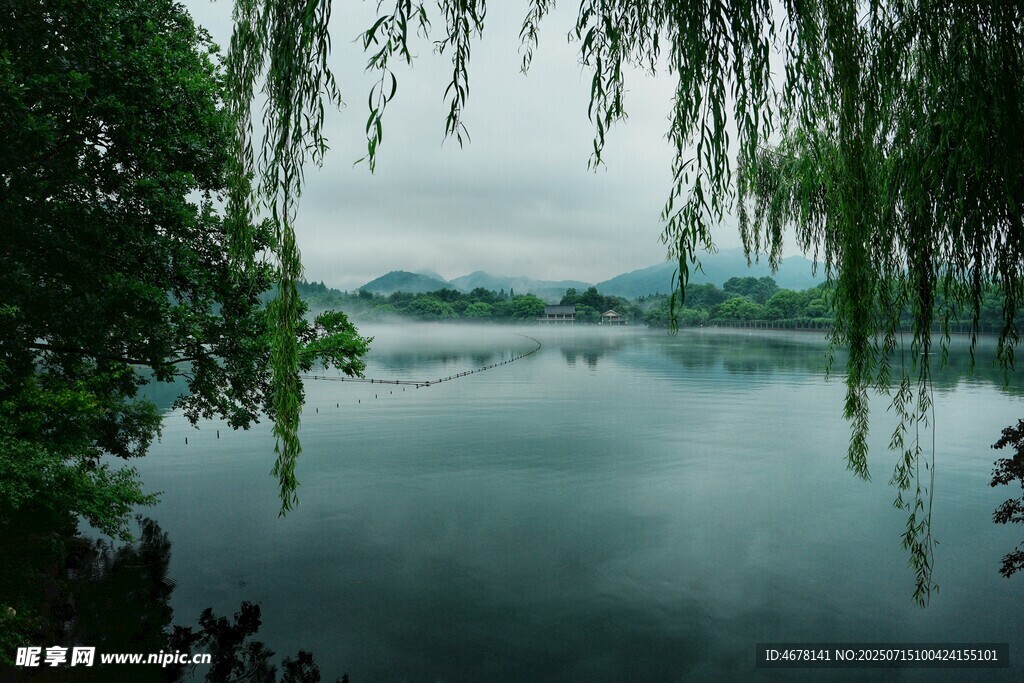 湖畔垂柳靜謐山水景致