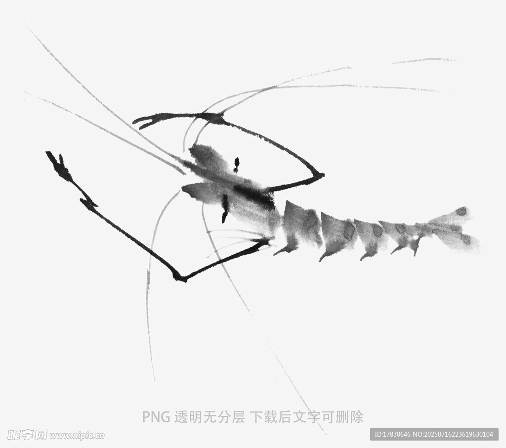 水墨風蝦的靈動姿態(tài)