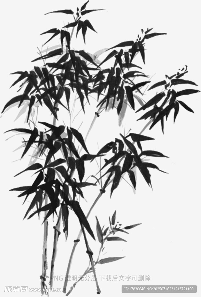 水墨風(fēng)竹子圖