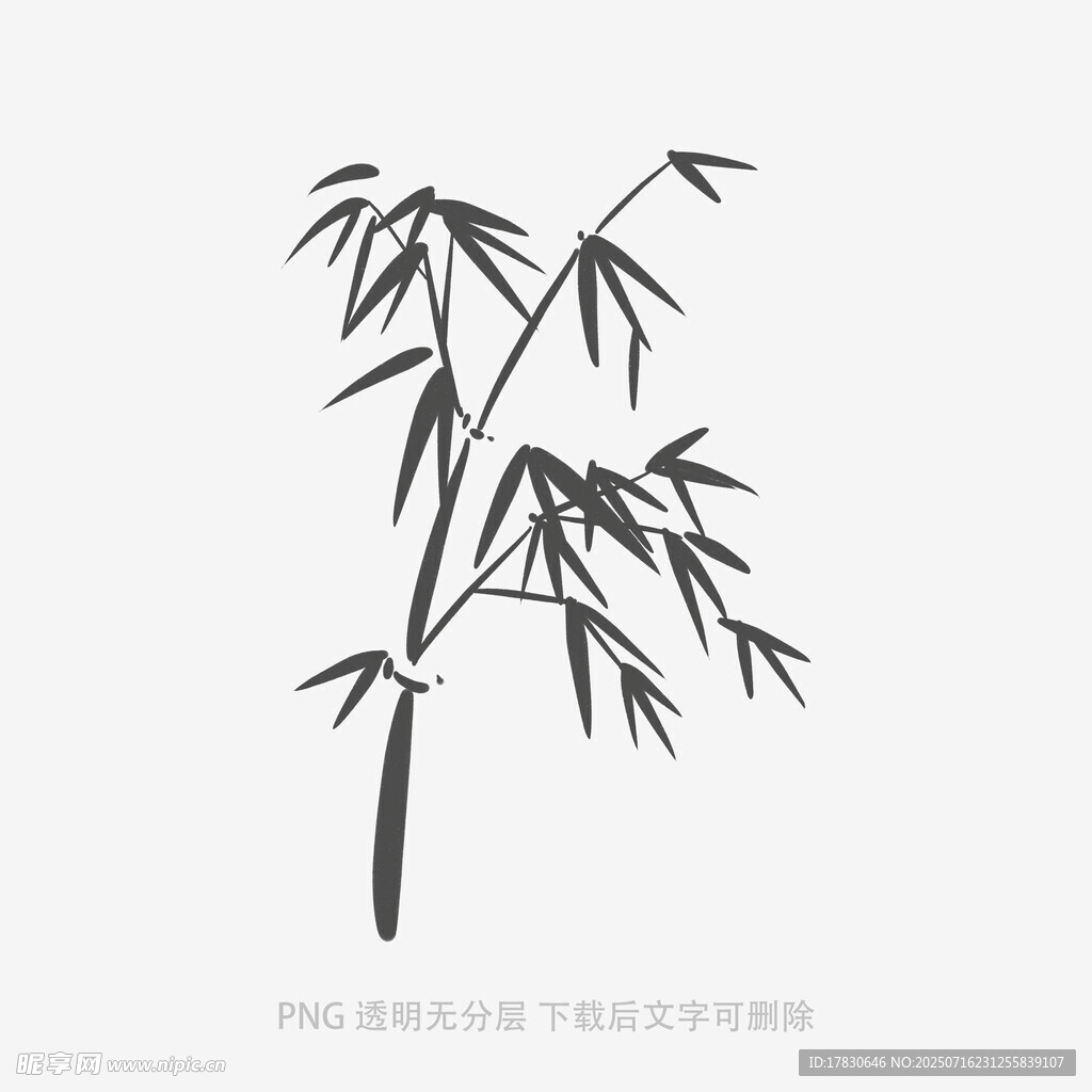 水墨風(fēng)單枝竹葉插畫