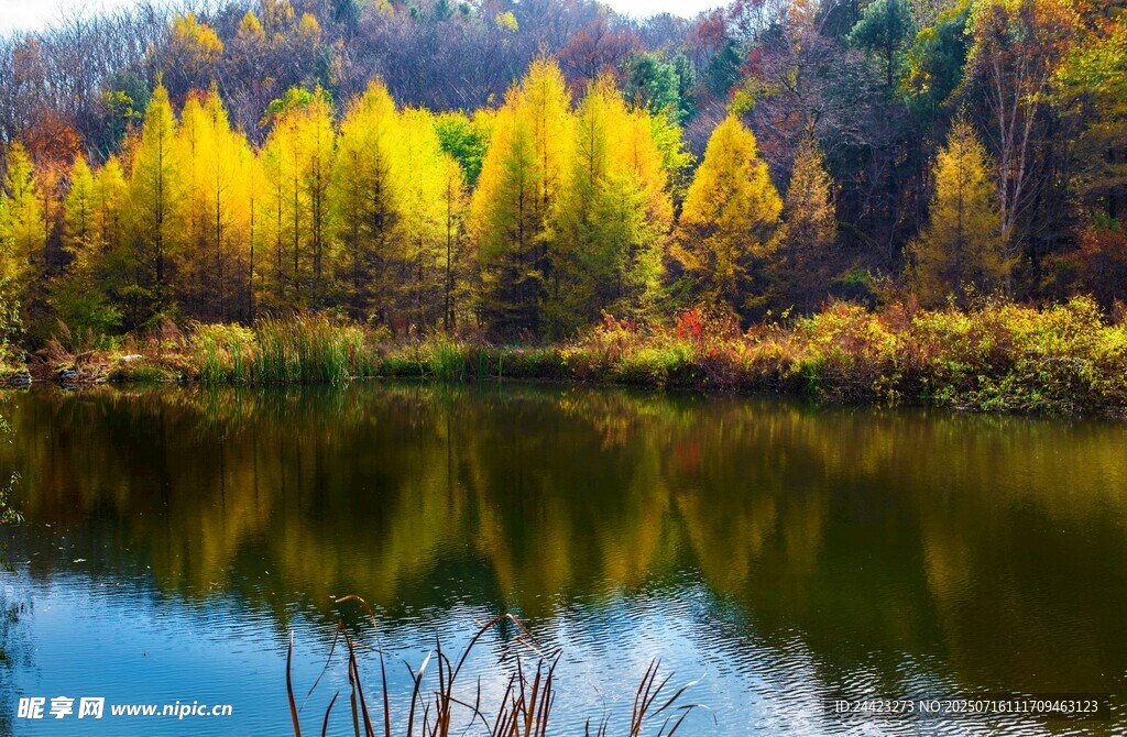 秋日湖畔斑斕山林美景