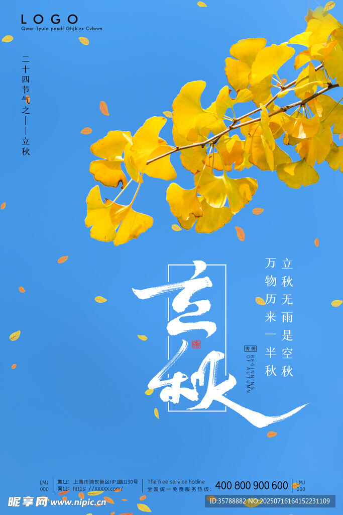 立秋金秋時節(jié)銀杏綻放