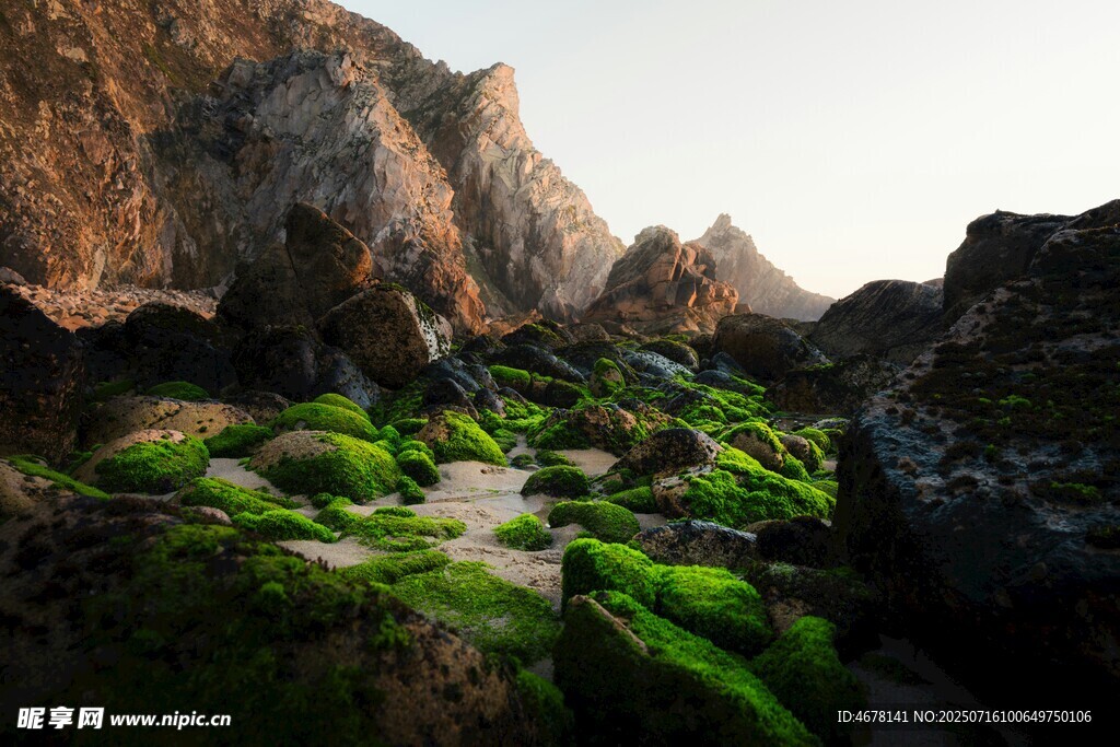 海岸邊覆滿青苔的嶙峋巖石
