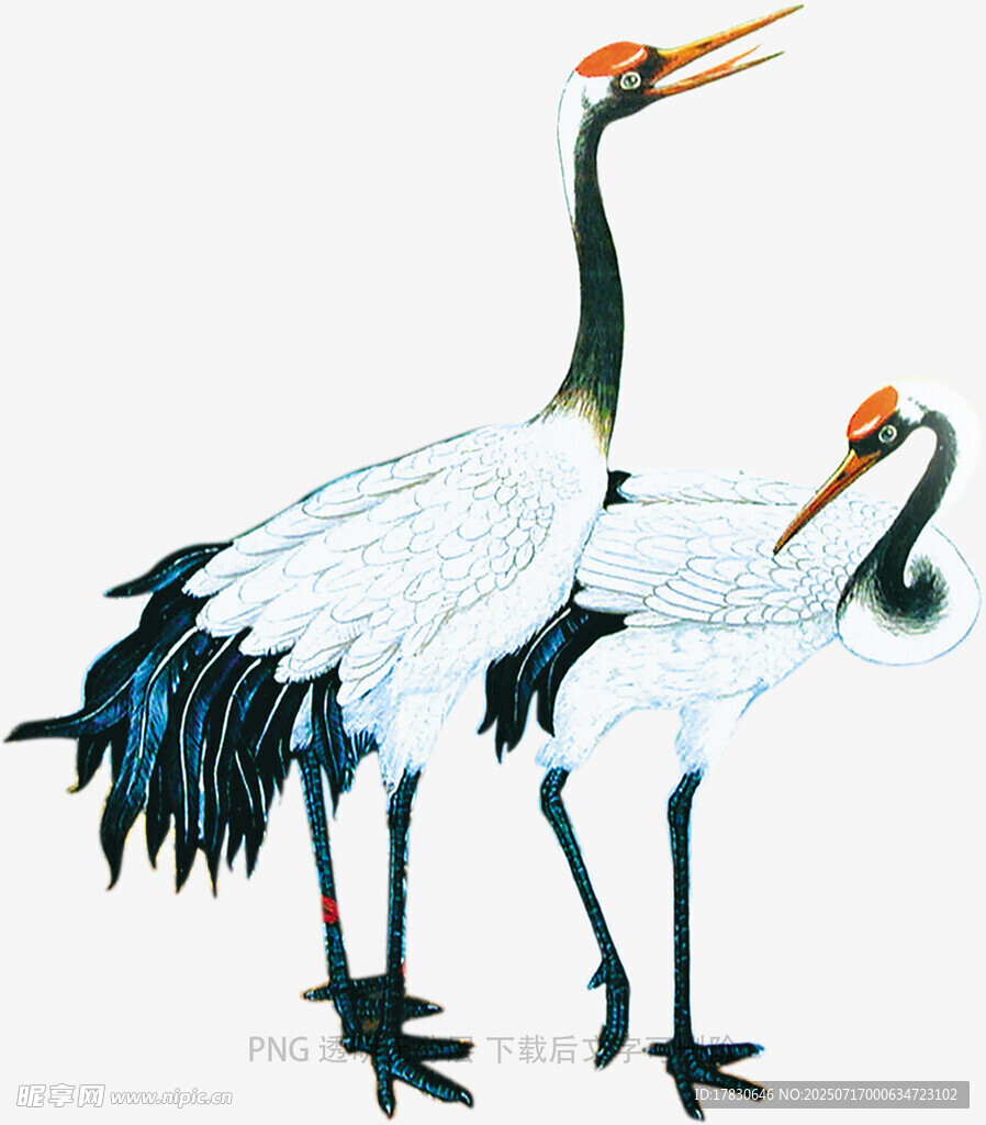 雙鶴圖