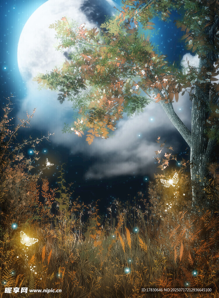 月夜下的夢(mèng)幻樹林景象