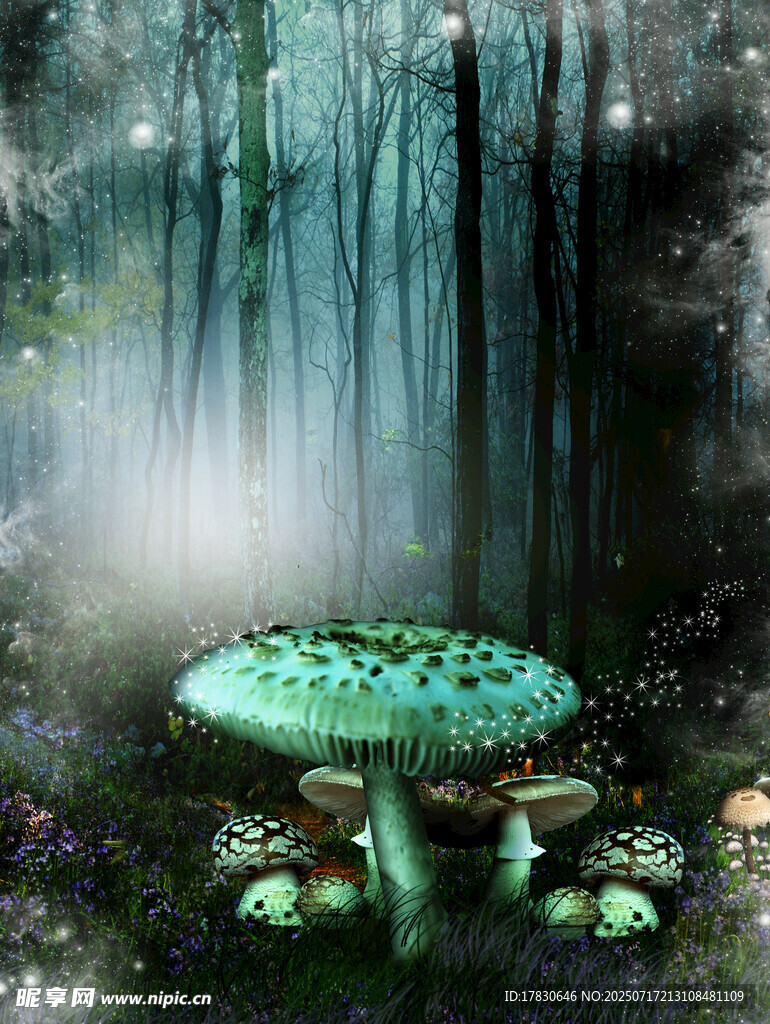夢(mèng)幻森林中的奇幻蘑菇