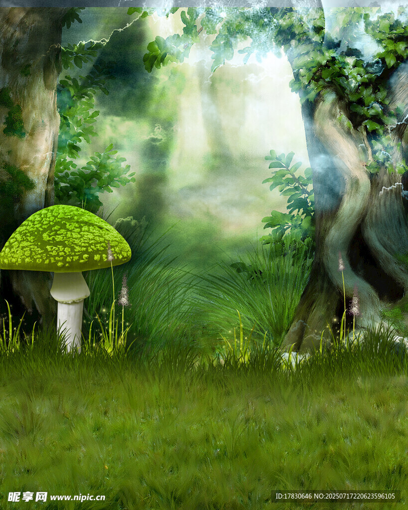 夢幻森林中的蘑菇景觀