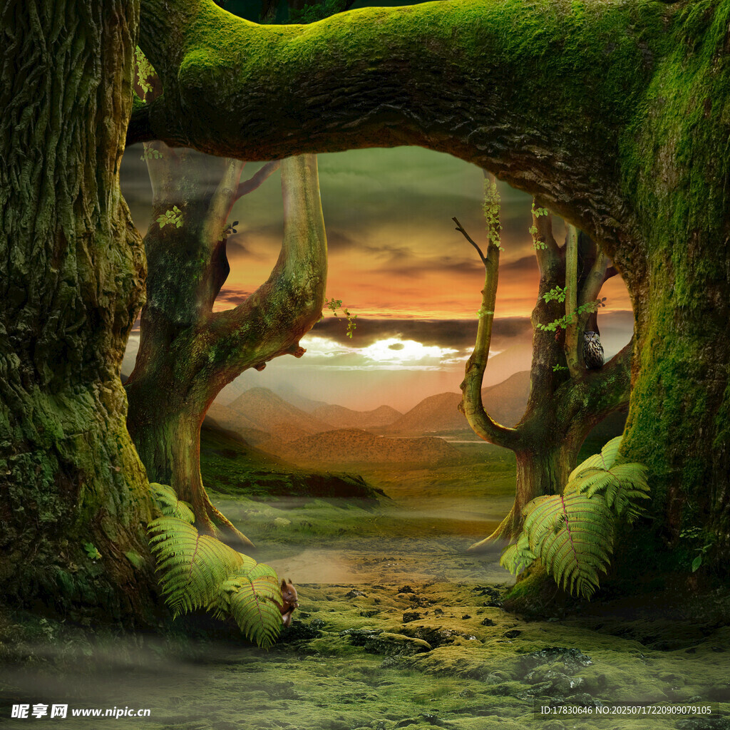 奇幻苔蘚覆蓋的神秘樹林