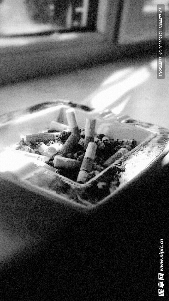 黑白視角下的飛機(jī)模型