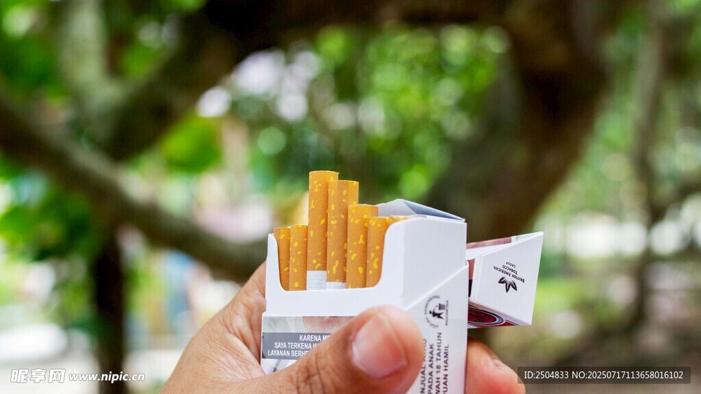 手持美味薯?xiàng)l于綠意間