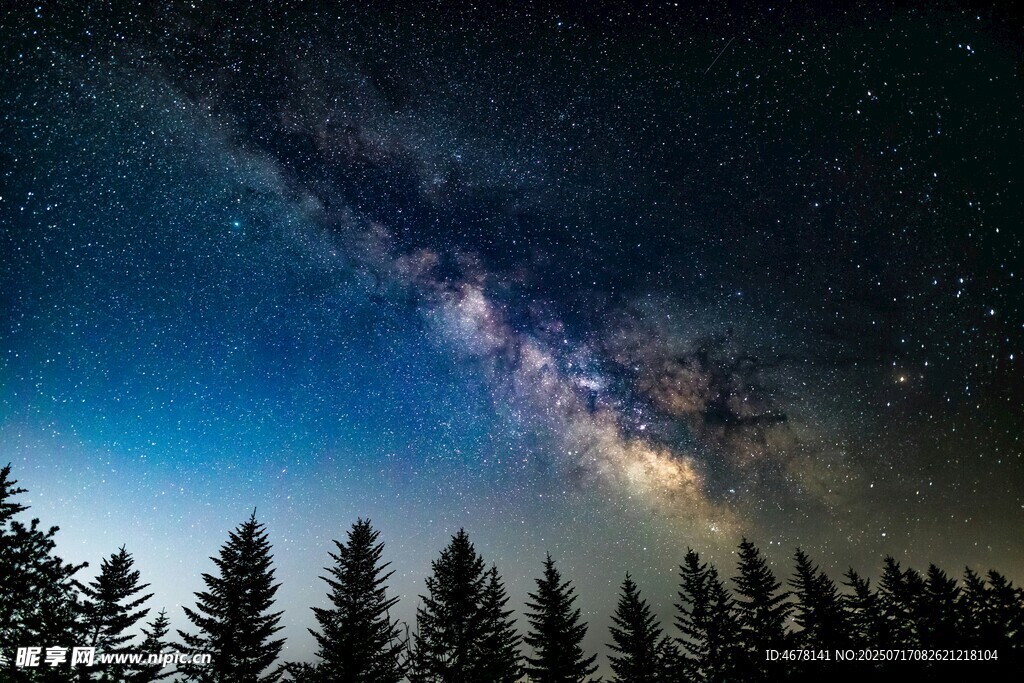 森林上空的璀璨星河
