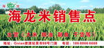 海龍米銷售點(diǎn)