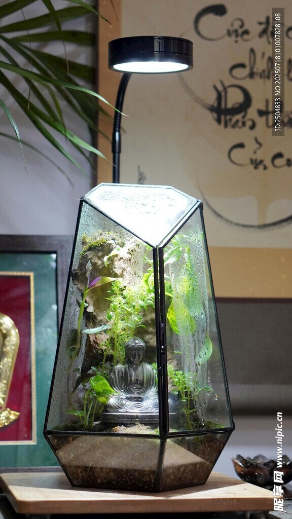 玻璃花房擺件 精致小景觀
