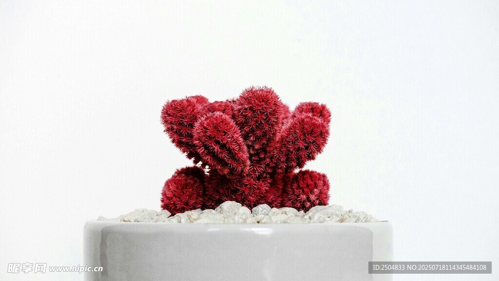 紅色珊瑚擺件
