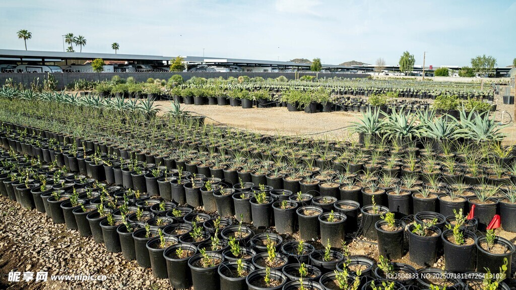 農(nóng)田中的綠植盆栽景觀