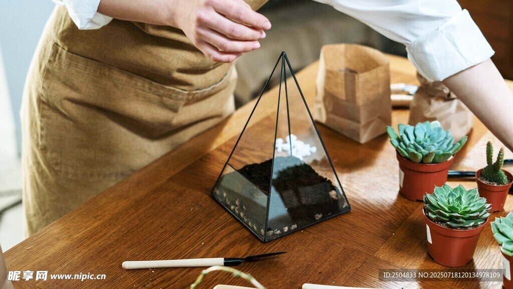 手工制作多肉植物懸掛架