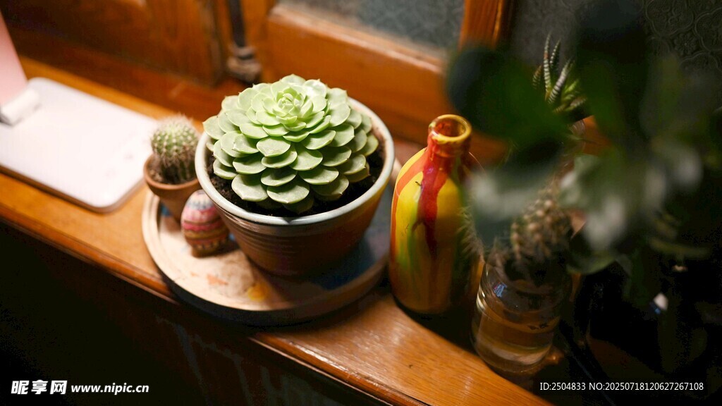 窗臺(tái)上的多肉植物組合