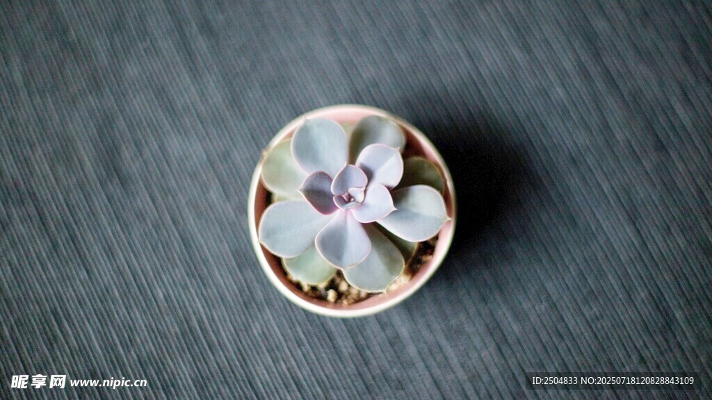 花卉圖案陶瓷小物件