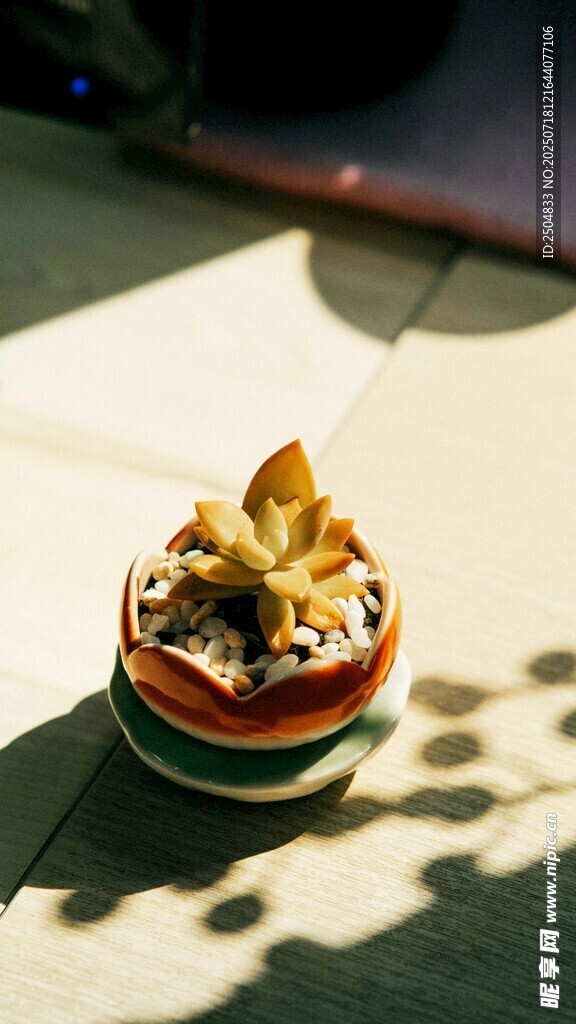 多彩裝飾小物 精致擺件