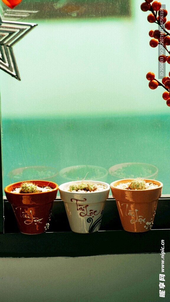 多彩紙杯排列展示