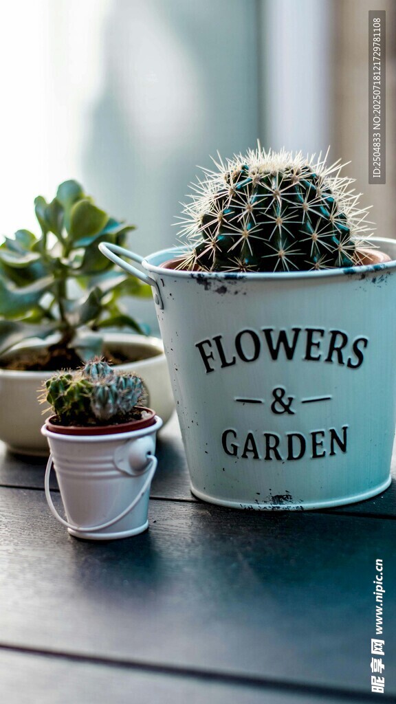 花盆中的綠植與園藝元素