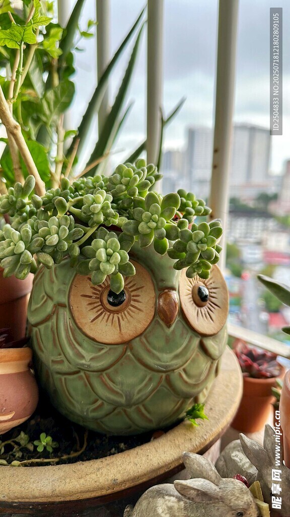 可愛(ài)貓頭鷹造型綠植盆栽