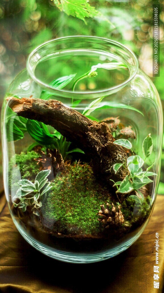 玻璃罐中的迷你綠植景觀