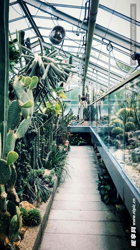 溫室中的綠植景觀(guān)