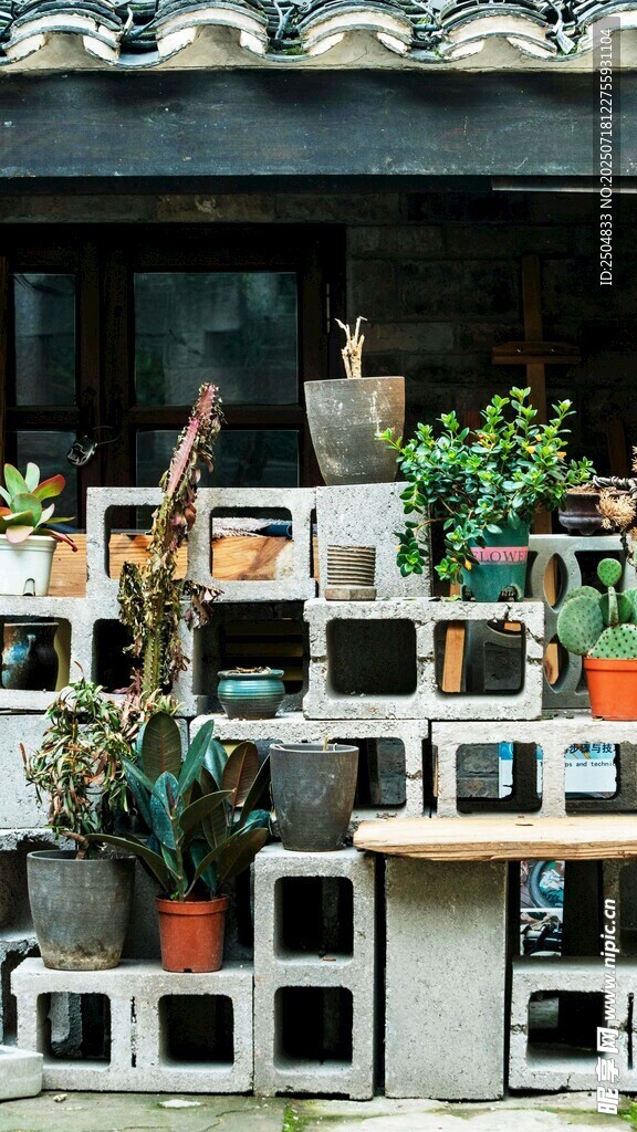 室內(nèi)綠植裝飾的溫馨角落
