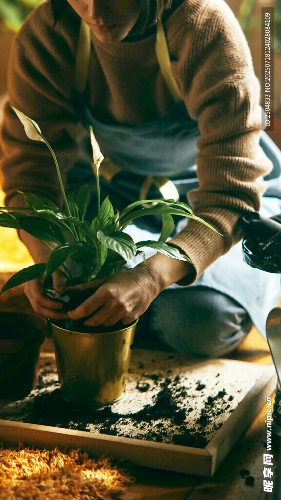 人專注栽種綠植畫面