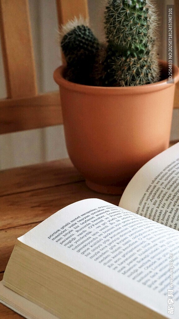 仙人掌旁翻開的書籍