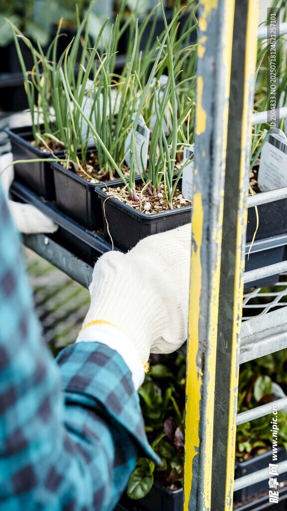 園藝工人手持工具照料植物