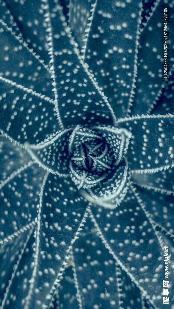 夢(mèng)幻藍(lán)色蛛網(wǎng)紋理圖案