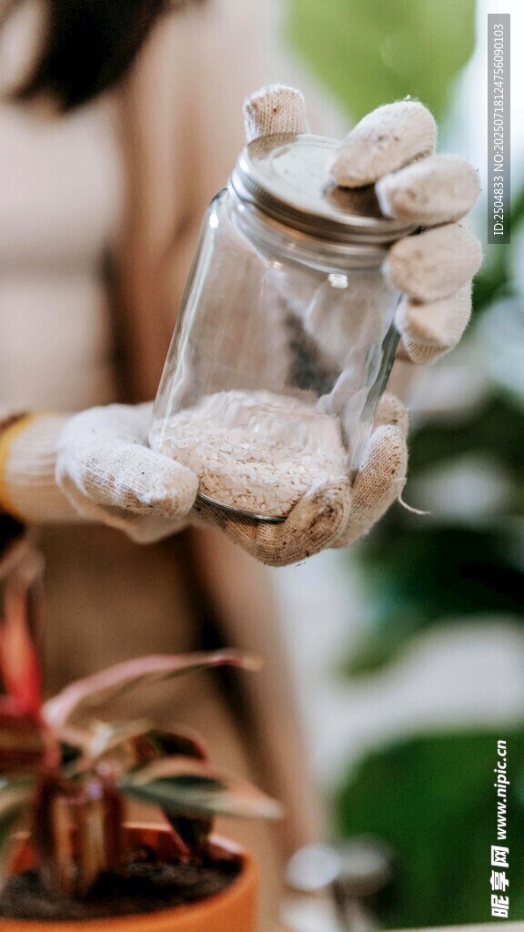 雙手捧土準(zhǔn)備種花