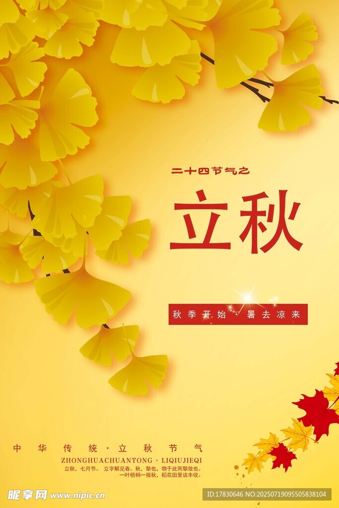 立秋時(shí)節(jié)銀杏葉裝點(diǎn)畫面