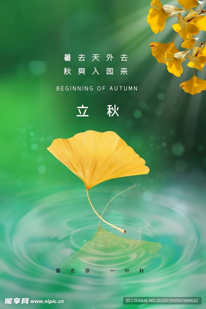立秋銀杏落葉入水畫面