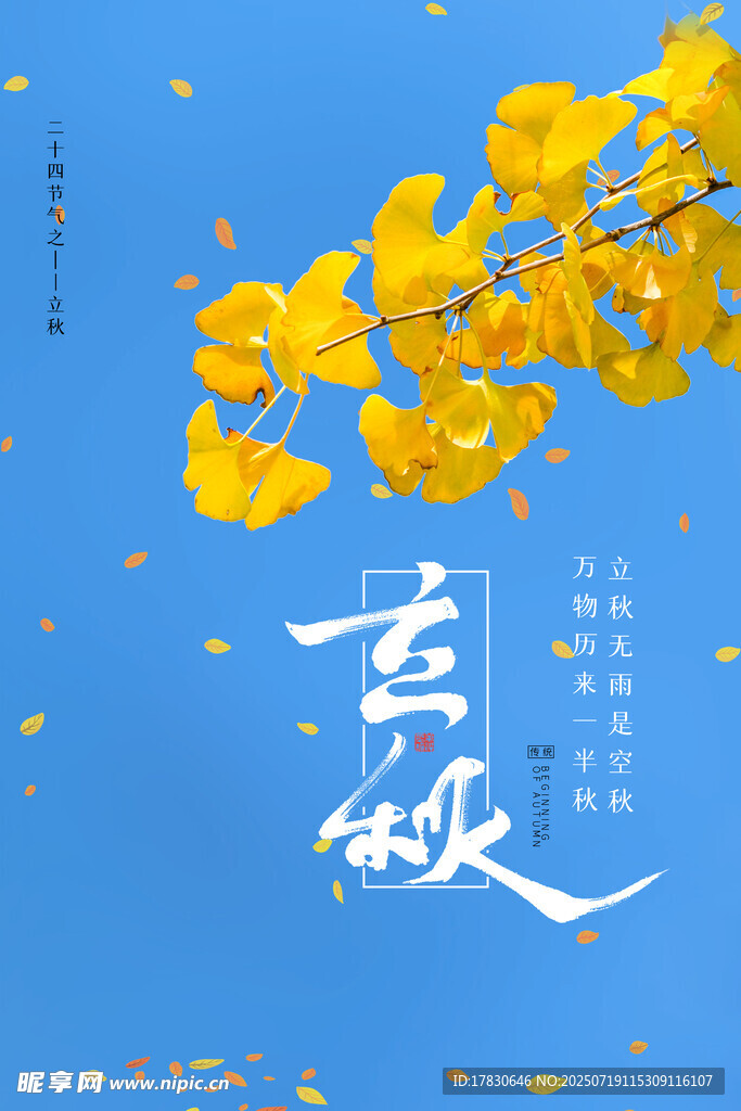 金秋銀杏美景