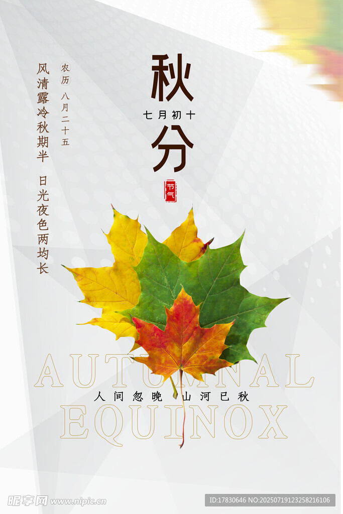 秋分時節(jié)楓葉海報設(shè)計