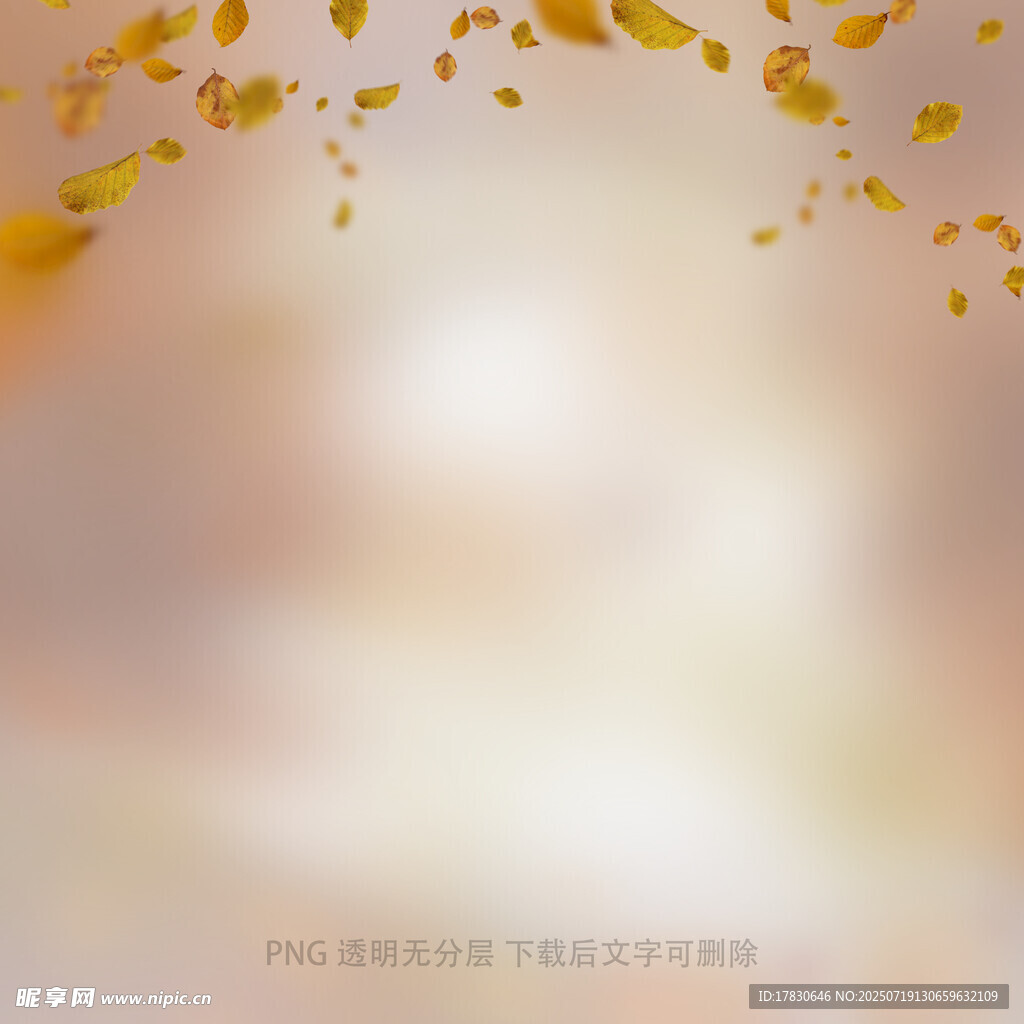 秋天虛化拍照前景