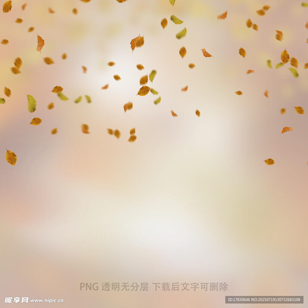 秋天虛化拍照前景