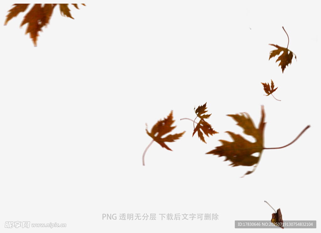 秋天虛化拍照前景