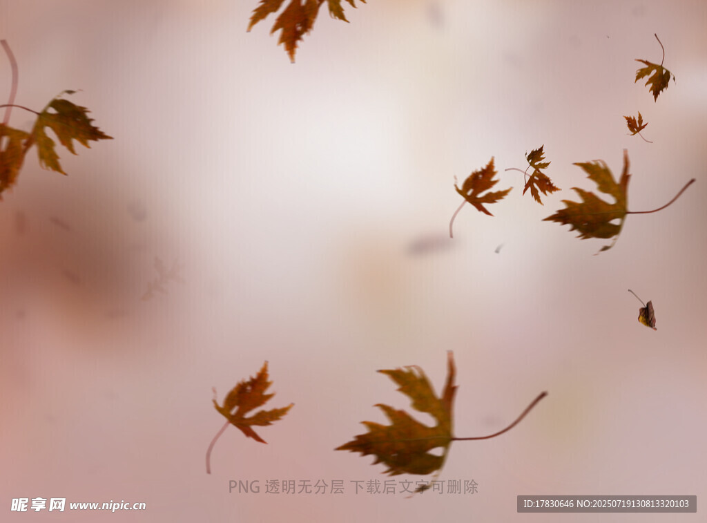 秋天虛化拍照前景